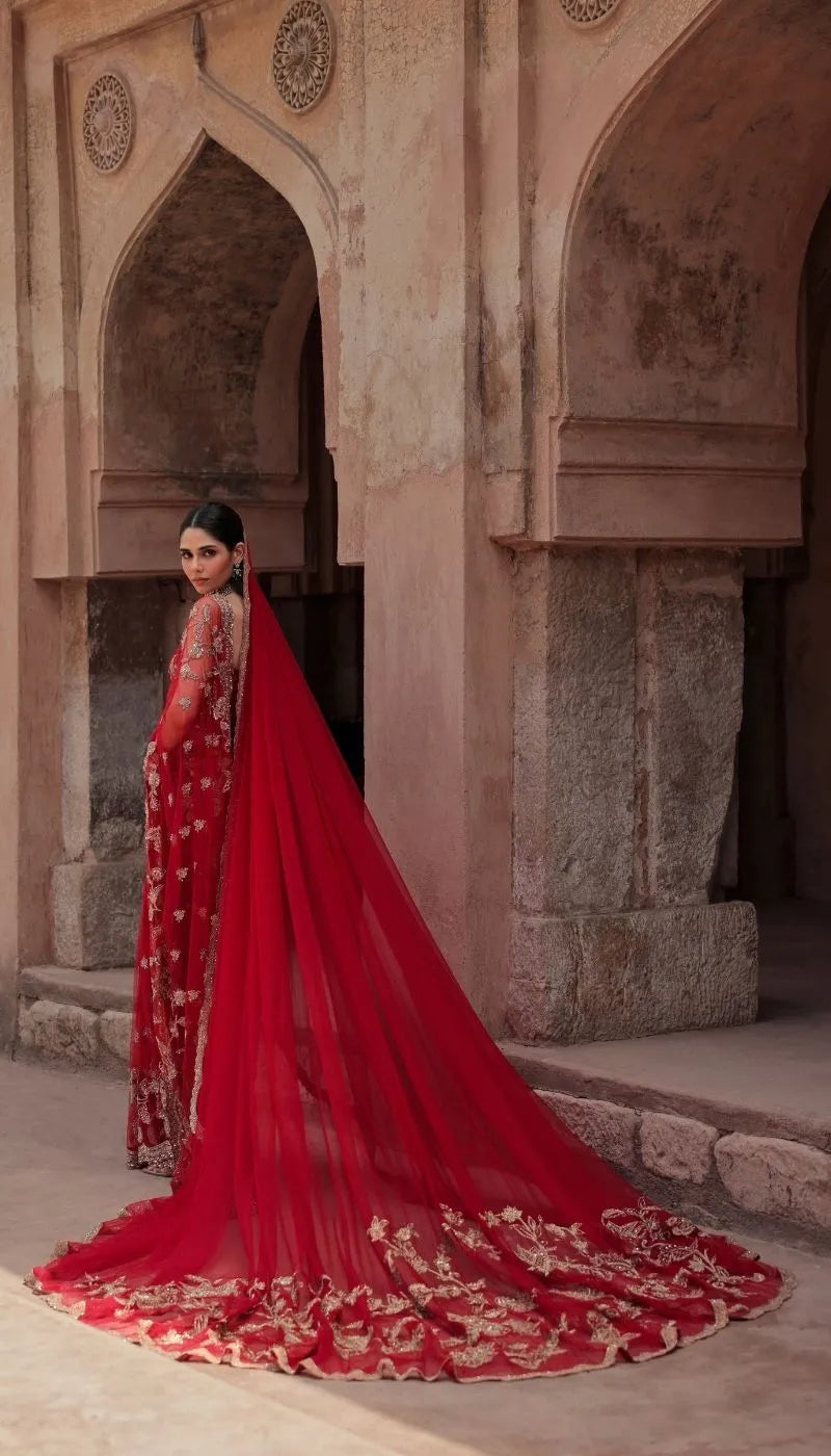 A Crimson Red Tulle Net Saree