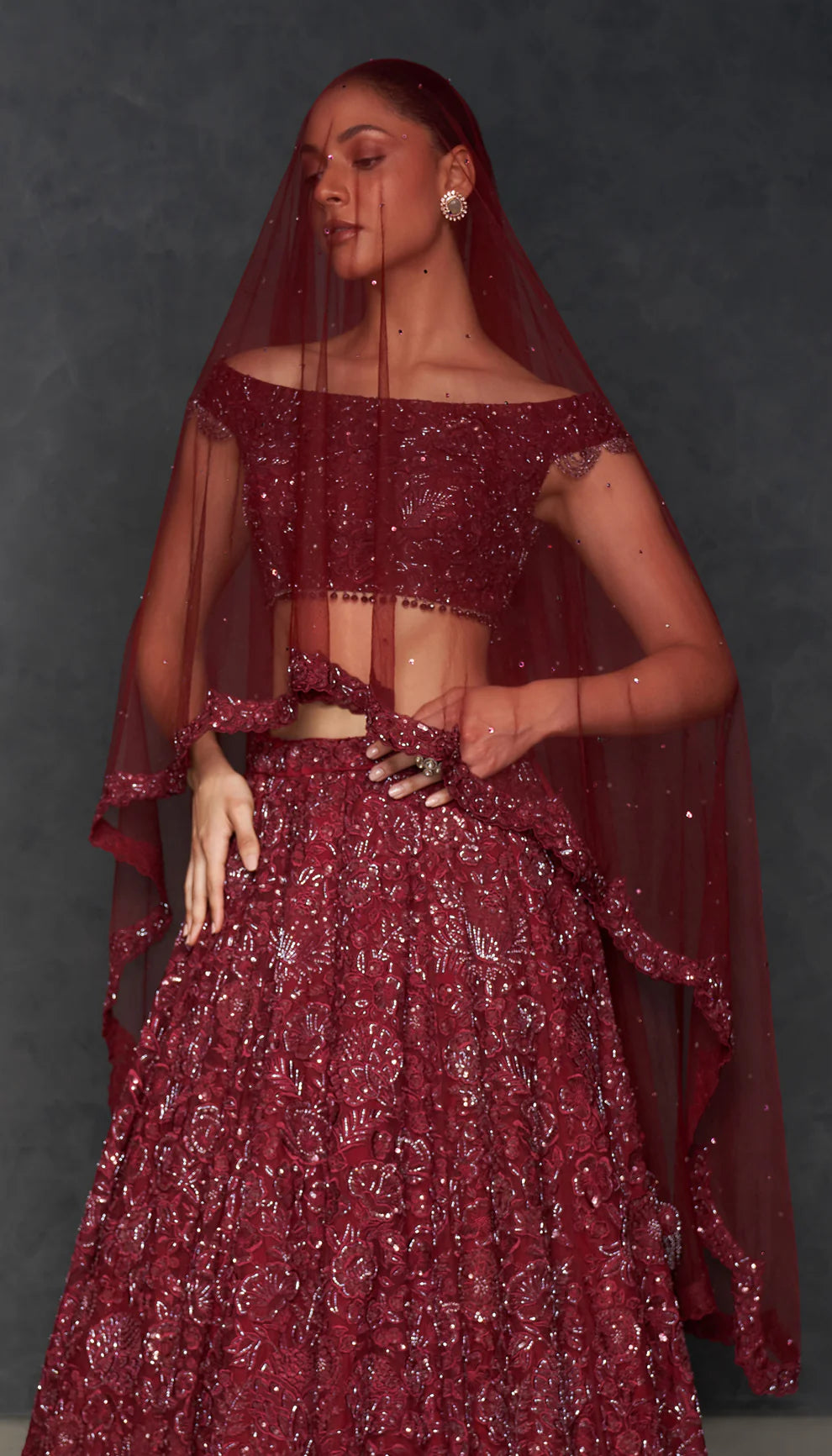 Rich Wine Tonal Lehenga
