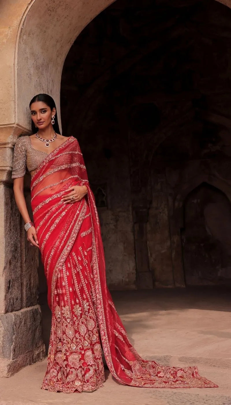 A Red Tulle Net Saree