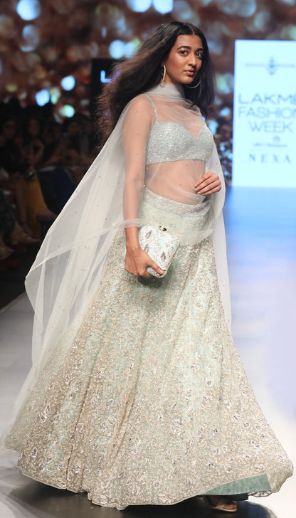 Sky Blue Paneled Tulle Lehenga