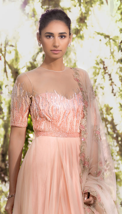 A Blush Pink Bias Tulle Gown