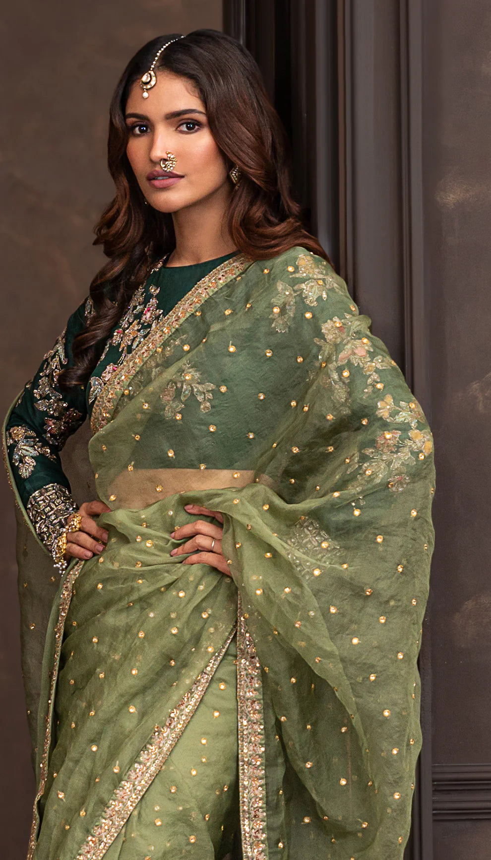 Olive Crystal Aari Saree