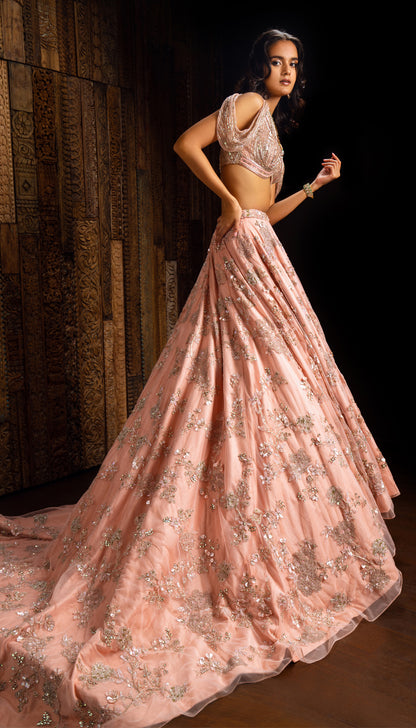 Pastel Pink Trail Lehenga