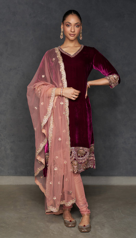 Rich Wine Velvet Dress