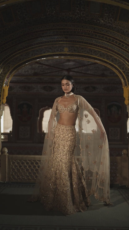 Floating Flower Fish Tail Lehenga