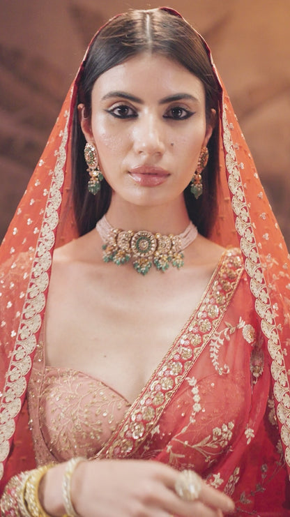 Red Organza Saree
