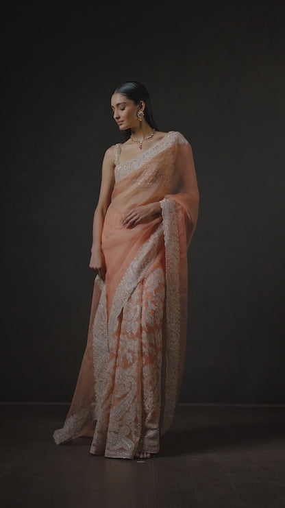 Peach  Floating Paisley Kalidar Saree