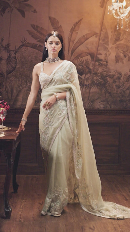 Fennel Green Organza Saree