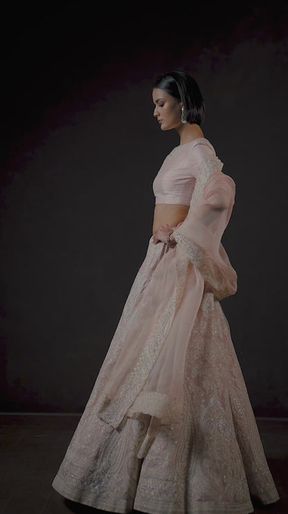 Blush Pink Floating Paisley Lehenga