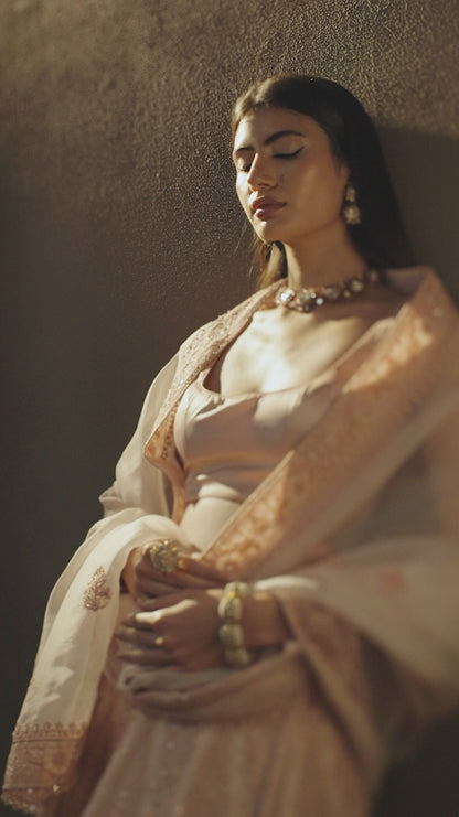 Blush Pink Organza Lehenga