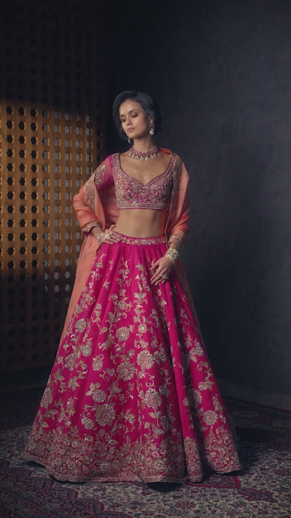 Pink Baghban Lehenga