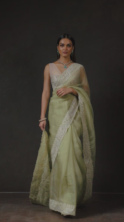 The Floating Paisley Border Saree